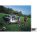 Hyundai Galloper (1999 onwards)  :Safe bag size SWS (140 x 105 x 72H) - BLUE no. ERSSWS-BL